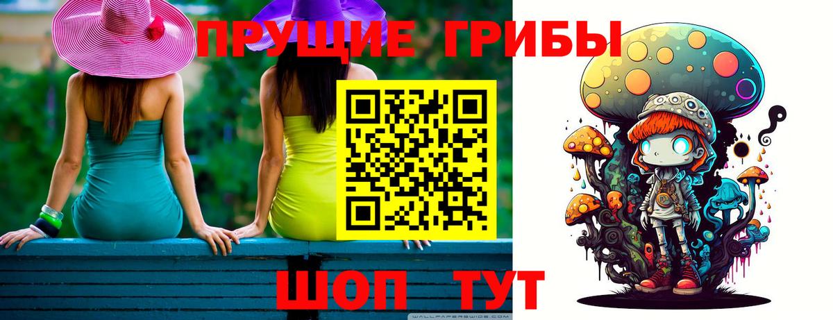 Псилоцибиновые грибы Cubensis Назрань