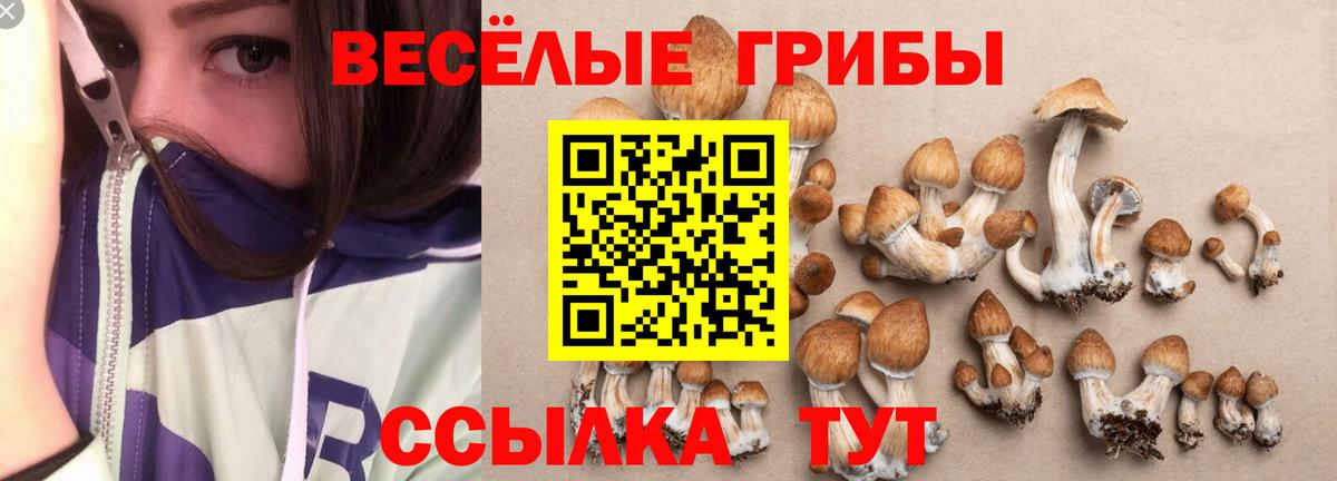 Назрань  Псилоцибиновые грибы ЛСД  Вход с VPN 
